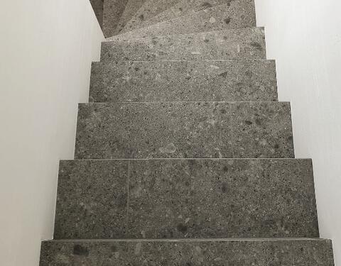 Dilbeek Sillae Renovations
